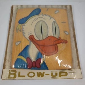 Disney Donald Duck Soplarrr Inflated Picture Made in Mexico - New Partial Sealed - Picture 1 of 7