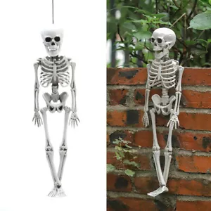 40cm Poseable Halloween Full Body Skeleton Hanging Props Realistic Human Bones - Picture 1 of 8