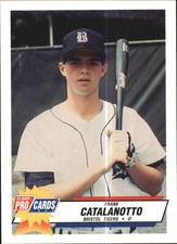 1993 Bristol Tigers Fleer/ProCards #3657 Frank Catalanotto