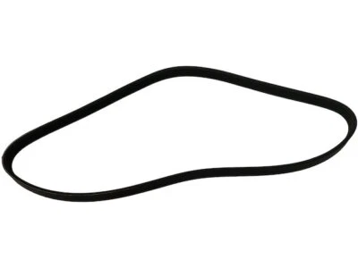 Cinturón multi costilla aire acondicionado Ford Expedition 2015-2019 81297NNWF 2016 Foto 1 de 2