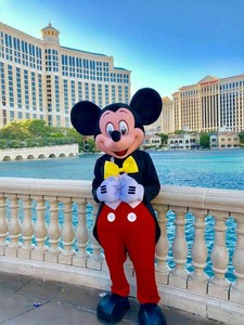 Mascotte topolino | Acquisti Online su eBay