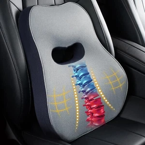 Lumbar Support Pillow for Car, Comfy Memory Foam Back Support for Office Chair - Picture 1 of 8