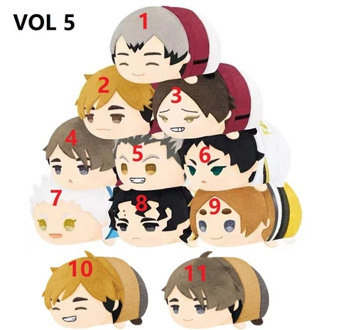 New Japan Anime Haikyuu!! Haikyu Plush Doll Toy Keychain Mochimochi Mascot VOL 5 Cover