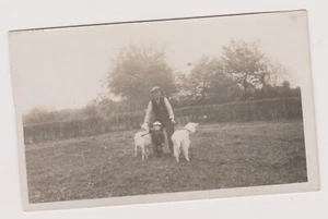 📸 Photo vintage homme & garçon avec chèvres 🐐 nostalgie rurale 🌾 - Imagen 1 de 1