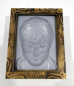 Harry Potter Holopane Mood Lamp Picture Frame 3-D Light-Up Face Turns To Follow - Picture 1 of 4