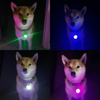 Rechargeable Dog Cat Collar Lights LED Clip on Light Veteran Owned - Image 1 of 4