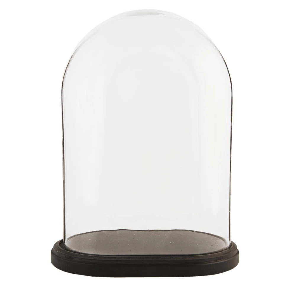 Glasdisplay Glocke Glas ovale Glocke auf dunklem Holzsockel Displayständer 42cm - Bild 1 von 1