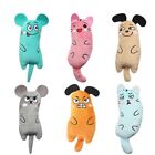 Embroidery Pet Cat Chew Toy Animal Expressions Interactive Toys  Fun & Play