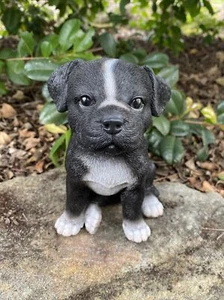STAFFORDSHIRE -STAFFY CACHORRO PERRO ANIMAL JARDÍN ESTATUA ADORNO ESTATUILLA ESCULTURA - Imagen 1 de 8