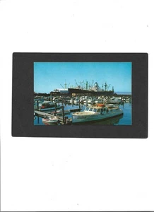 WASHINGTON PC "Yacht Moorage Basin, Everett" UNUSED No Writing CLEAN - Picture 1 of 2