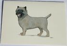 Cairn Terrier Dog Zeppa Studios Fur Children Note Cards Set of 8