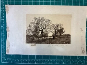 Vintage Old Amazing French etching 1888, pencil signed, large. - Picture 1 of 4