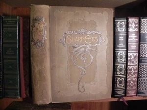 Sharp Eyes 1892 - A Rambler's Calendar - Wm. Gibson - Insects Birds & Flowers - Picture 1 of 14