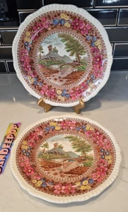 Antique Delft Spode Copeland England 2 Pc Roche Hermitage 226336 Dinner Plates - Picture 1 of 23