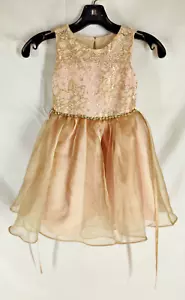 Rare Editions Girls 4T Easter Holiday Church Dress Pink/Champagne Color Tutu - Picture 1 of 10