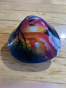 Tiger Kauri geschnitzte Muschel mit tropischen gesehen - Bild 1 von 2