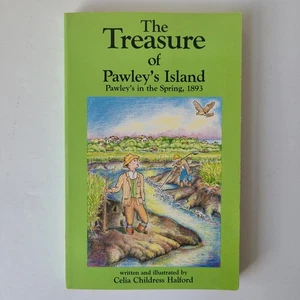 Book Treasure of Pawleys Island 1893 Halford SC Middle Grade Historical History - Picture 1 of 11