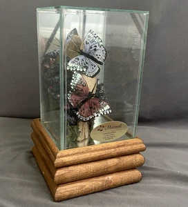 VTG Musical Floral Butterfly Wooden Handcrafted Shadow Box 70s 80s Lara's theme - Picture 1 of 12