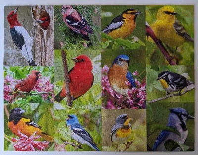 Rompecabezas Springbok Birds of a Feather 500 piezas COMPLETO Cardinal BLUE JAY Foto 1 de 4