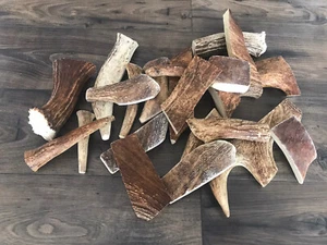 10 Pounds of Northern Maine Moose Antler Dog Chews! Organic! Treats! Med / Large - Picture 1 of 11