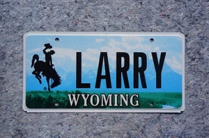 Matrícula de tocador WYOMING - LARRY - Imagen 1 de 3