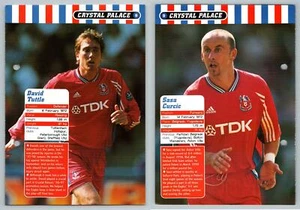 David Tuttle / Sasa Curcic - C. Palace #9 Football Magic 1998-9 Fact File Page - Picture 1 of 1