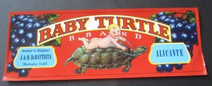 Old Vintage 1950's - BABY TURTLE - Grape LABEL - Modesto CA. - Picture 1 of 1
