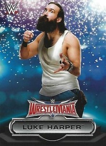 Luke Harper 2016 Topps WWE Road To Wrestlemania Roster Card #15 Brodie Lee AEW