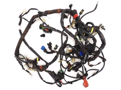 Arnés de cableado principal Moto Guzzi Breva 1100 probado por fabricante original funciona para V1100 Foto 1 de 2