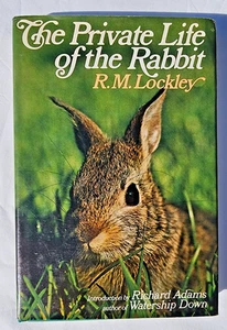The Private Life of the Rabbit by R. M. Lockley, Hardcover, 1974 - VG+ - Imagen 1 de 8