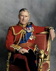 King Charles 8 X 10 Print Photo Photograph Photo - Picture 1 of 3