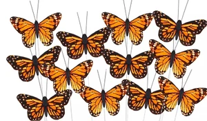 UNA Mariposa Monarca Decoración Pluma Mariposa Selecciones Mariposa - Imagen 1 de 5