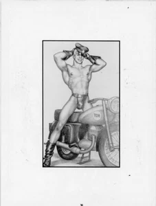 TOM OF FINLAND RETROSPEKTIVE KUNST NR. 35 - Bild 1 von 1