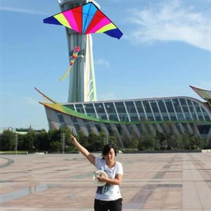 Giant Delta Kite Triangle Kite Single Line with Tail Windsock Vivid for Beach - Picture 1 of 11