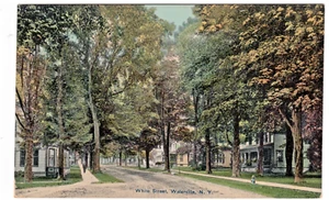 Waterville, New York ~ White Street ~ Vintage Oneida County NY Postcard - Picture 1 of 2