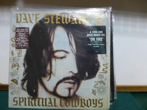 DAVE STEWART & SPIRITUAL COWBOYS ( SEE EURYTHMICS)   NEAR MINT   LP - Picture 1 of 2