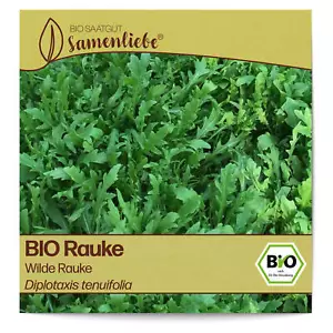 BIO Rauke Samen Sorte Wilde Rauke Kräutersamen BIO Kräuter Saatgut samenfeste Ra - Bild 1 von 8
