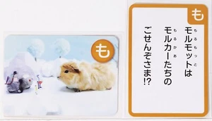 Pui Pui Molcar Karuta Karte Vol.1-35 Tier Meerschweinchen japanisches Zeichen - Bild 1 von 10