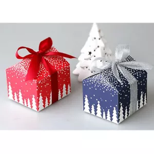 Red Blue Snow House Christmas Wedding Party Favours Biscuit Gift Boxes 2023 2024 - Picture 1 of 11