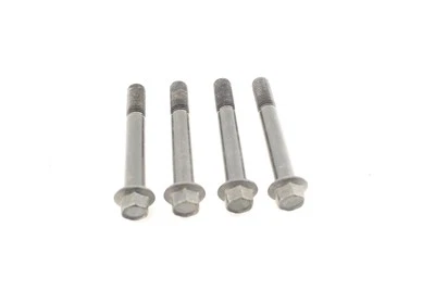 CONJUNTO DE PARAFUSOS DE PINÇA DIANTEIRA YAMAHA YZF R1 2013 90105-10397-00 - Imagem 1 de 4