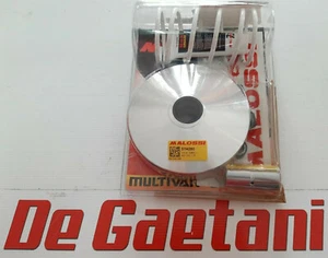 VARIATORE MULTIVAR MALOSSI PIAGGIO BEVERLY SCARABEO X8 X9 NEXUS APRILIA 400 500 - Imagen 1 de 1
