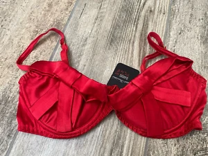 Agent Provocateur "Birthday Suit" Silk Bra - AP4 LARGE - BRAND NEW WITH TAGS! - Picture 1 of 7