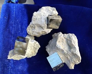 ONE Pyrite Cube in Matrix- Gift Packaged - Great Mineral Gift by Dinosaurs Rock - Picture 1 of 1
