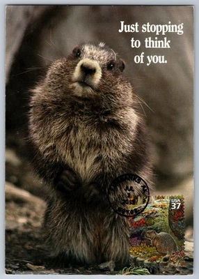 #3802g Arctic Tundra Ground Squirrels FDC Maxi Card - Image 1 of 2