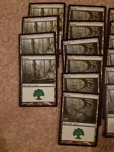 MTG 22 Forest - basic land cards  - Champions of Kamagawa - Picture 1 of 2