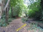 Photo 6x4 Glade clearing pathway in Speckled Wood Hastings/TQ8110 This i c2012