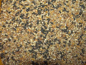 EXOTICFARM alimento para aves silvestres todo el año con semillas de girasol, 25KG (1,08€/Kg) - Imagen 1 de 1