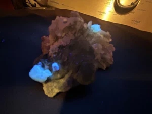 KB: Unique Locale! NICE XL SPECIMEN FL. BLUE/WHITE SCHEELITE PIEDMONT, ITALY - Picture 1 of 11