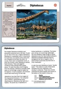 Diplodocus #40.19 - Reptiles - Grolier Wildlife Adventure Card - Picture 1 of 1