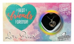 Best Friends Love Wish Pearl Kit DIY Pendant 16: Stainless Steel Necklace - Picture 1 of 6